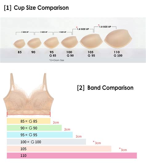 b cup pornstars|Category:Bra size